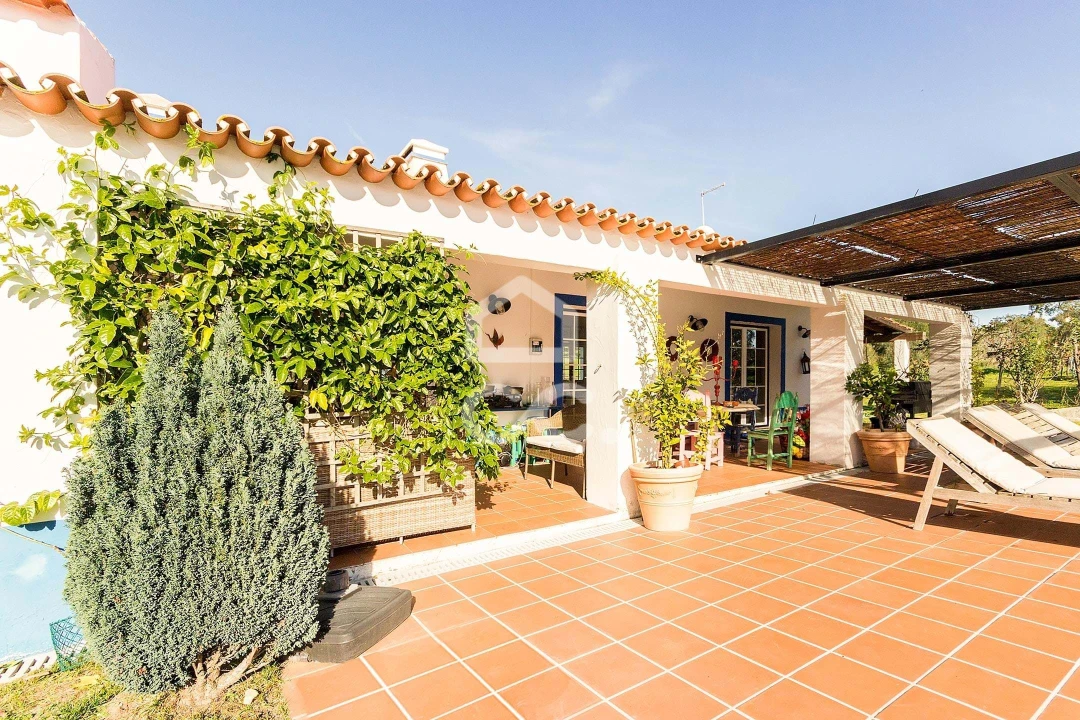 Quinta T6 para Venda em Santiago do Escoural Foto 43