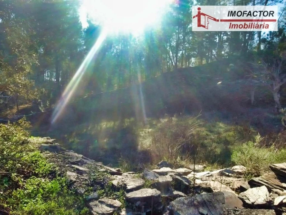 Terreno para Venda em Santo Andre das Tojeiras Foto 10