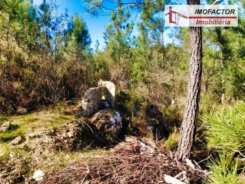 Terreno para Venda em Santo Andre das Tojeiras Foto 21