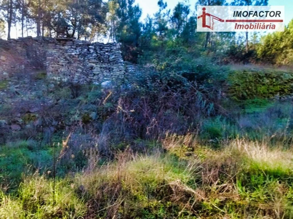 Terreno para Venda em Santo Andre das Tojeiras Foto 1