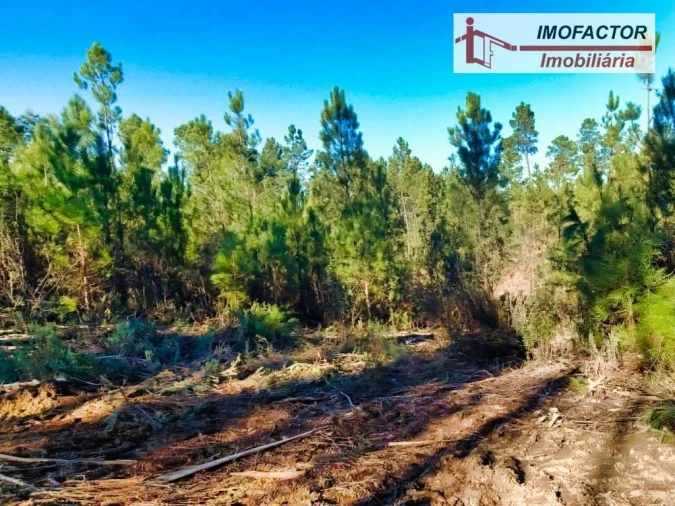 Terreno para Venda em Santo Andre das Tojeiras Foto 17