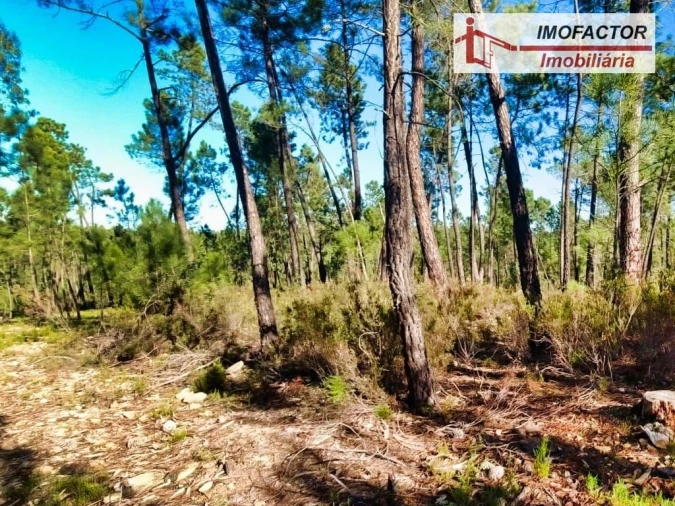 Terreno para Venda em Santo Andre das Tojeiras Foto 20