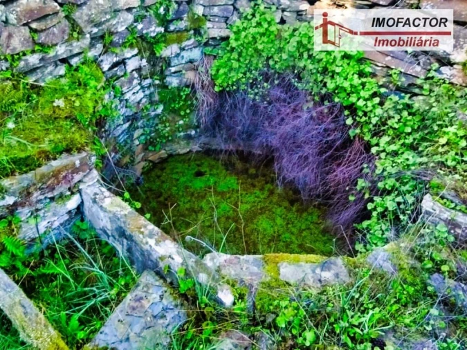 Terreno para Venda em Santo Andre das Tojeiras Foto 9