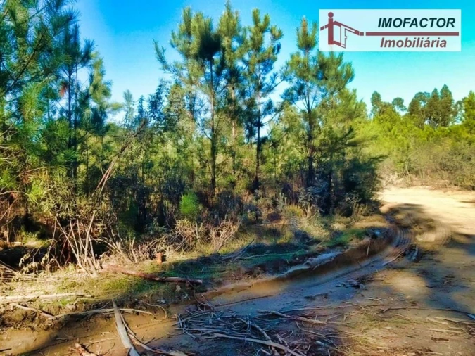 Terreno para Venda em Santo Andre das Tojeiras Foto 4