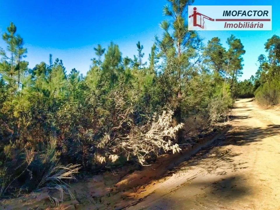 Terreno para Venda em Santo Andre das Tojeiras Foto 18