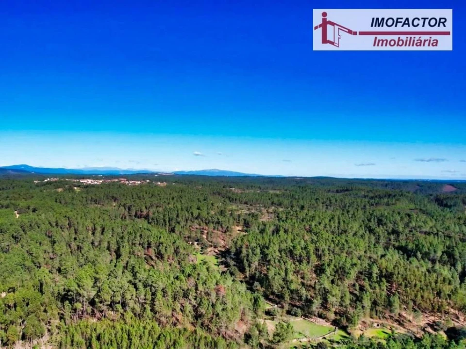 Terreno para Venda em Santo Andre das Tojeiras Foto 16