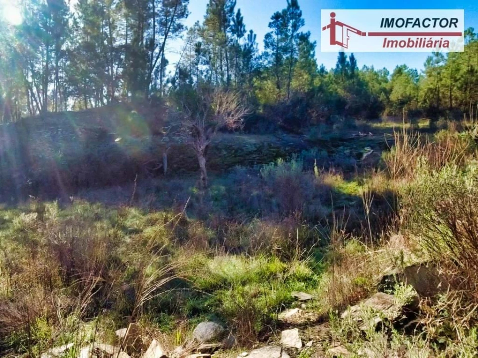 Terreno para Venda em Santo Andre das Tojeiras Foto 11