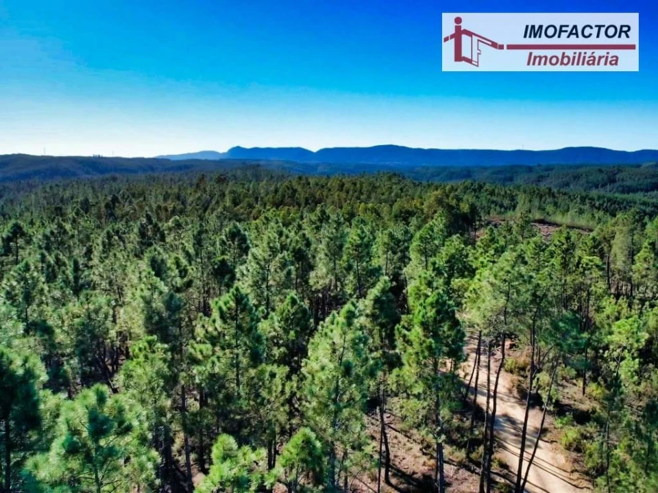 Terreno para Venda em Santo Andre das Tojeiras Foto 3