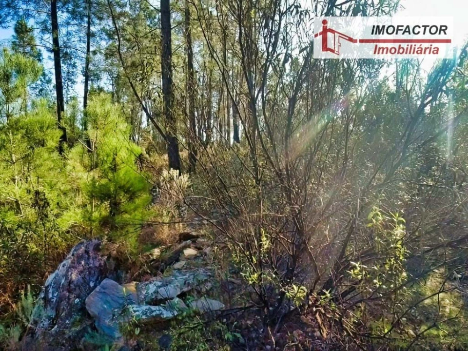 Terreno para Venda em Santo Andre das Tojeiras Foto 8