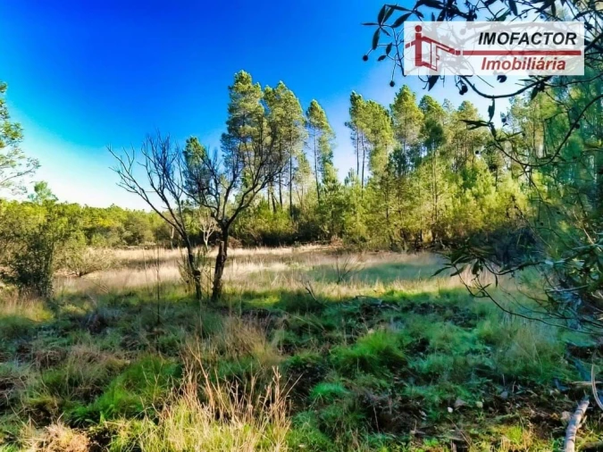 Terreno para Venda em Santo Andre das Tojeiras Foto 1