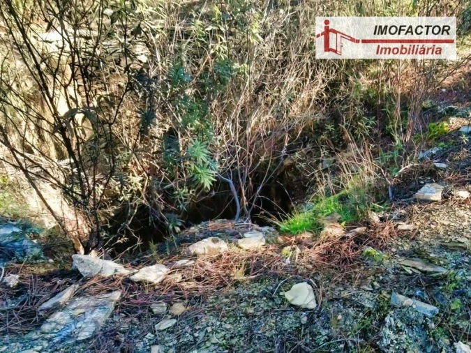 Terreno para Venda em Santo Andre das Tojeiras Foto 6