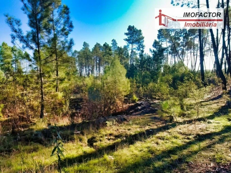 Terreno para Venda em Santo Andre das Tojeiras Foto 7