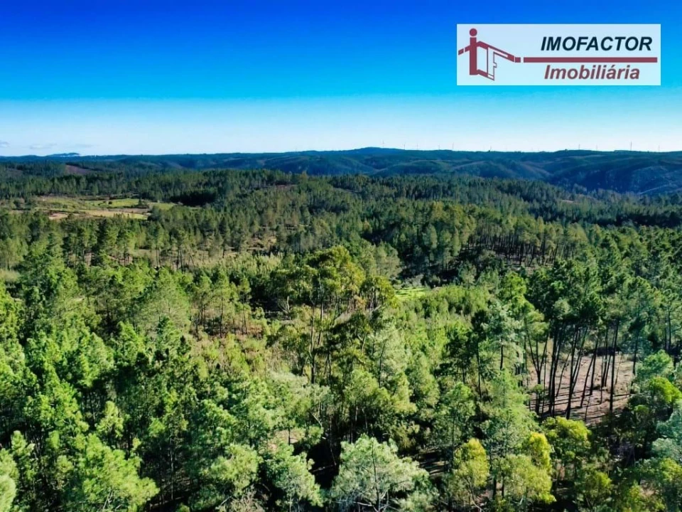 Terreno para Venda em Santo Andre das Tojeiras Foto 3