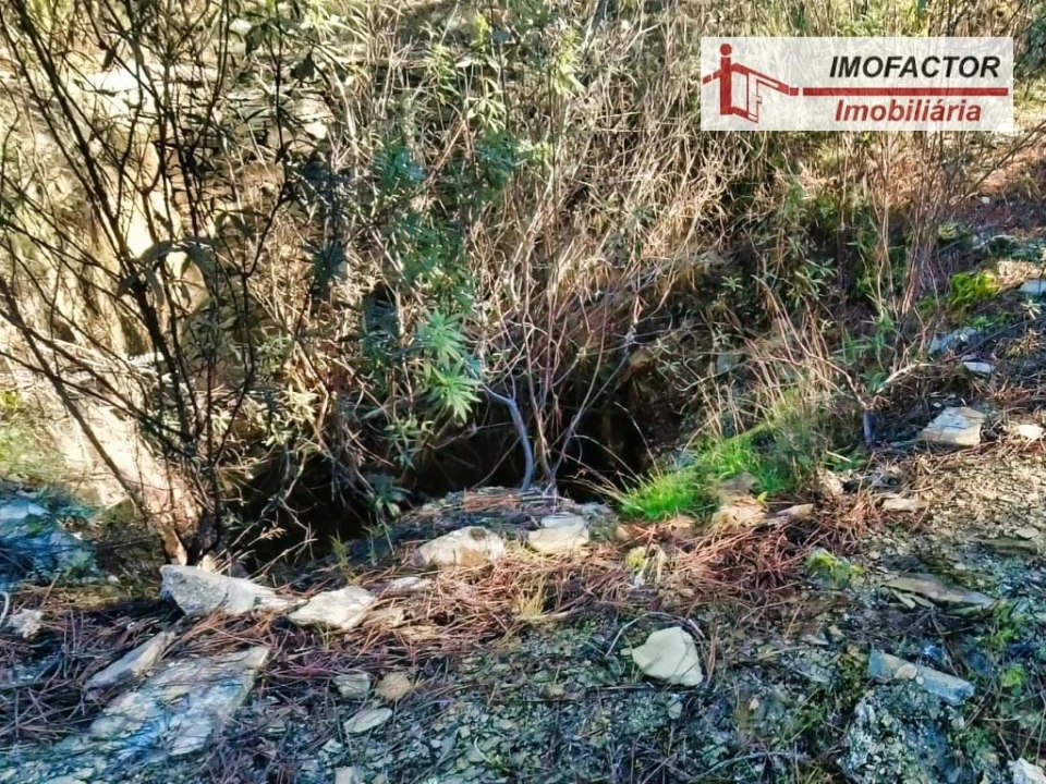 Terreno para Venda em Santo Andre das Tojeiras Foto 6