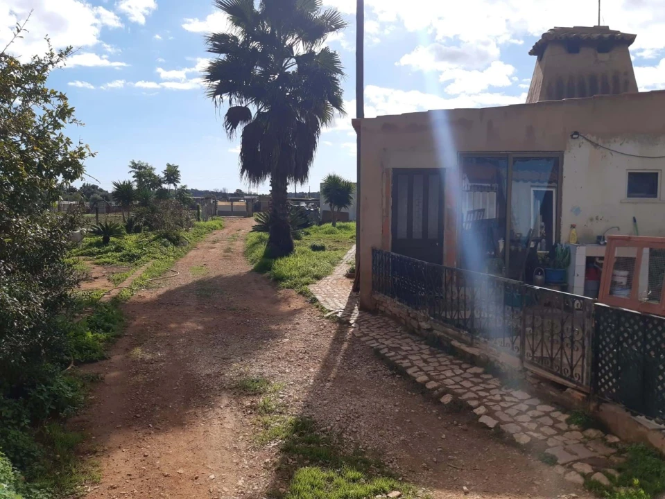Terreno para Venda em Silves Foto 9