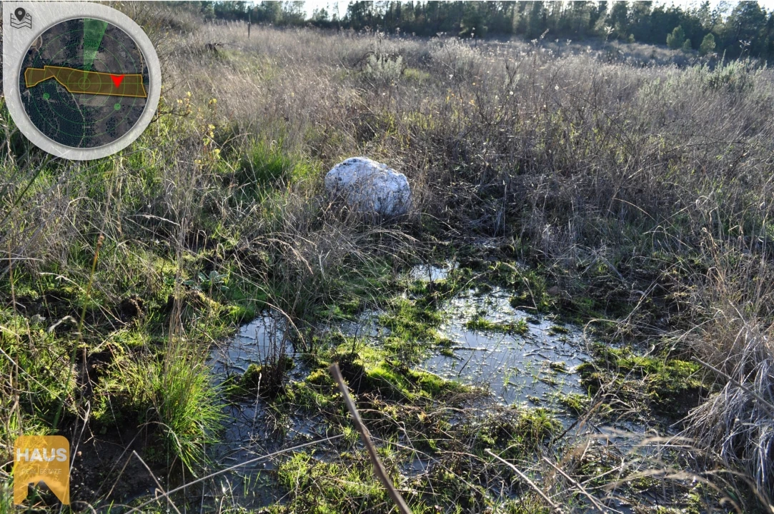 Terreno Agricola ou Rústico para Venda em Freixial e Juncal do Campo Foto 14