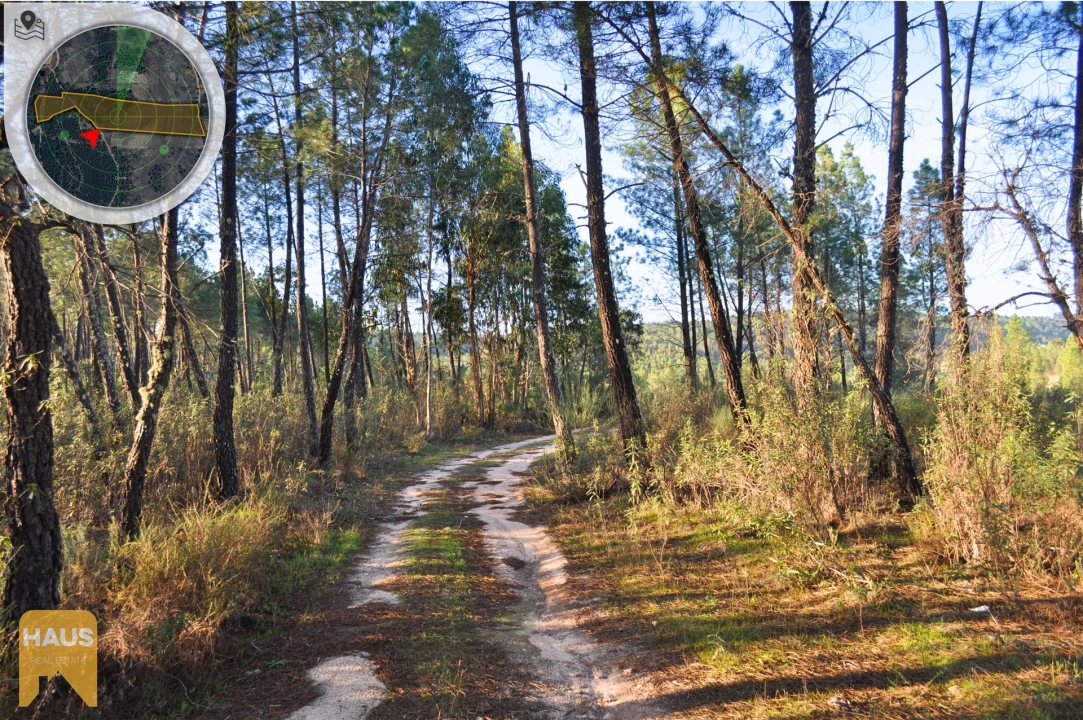 Terreno Agricola ou Rústico para Venda em Freixial e Juncal do Campo Foto 3