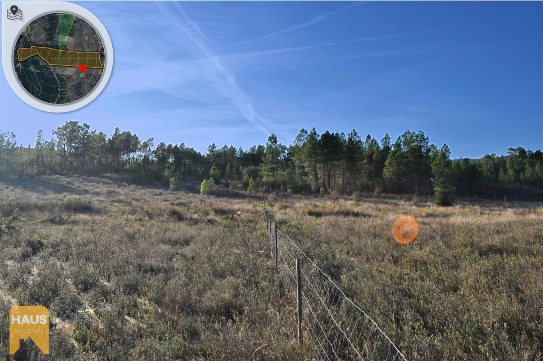 Terreno Agricola ou Rústico para Venda em Freixial e Juncal do Campo Foto 17