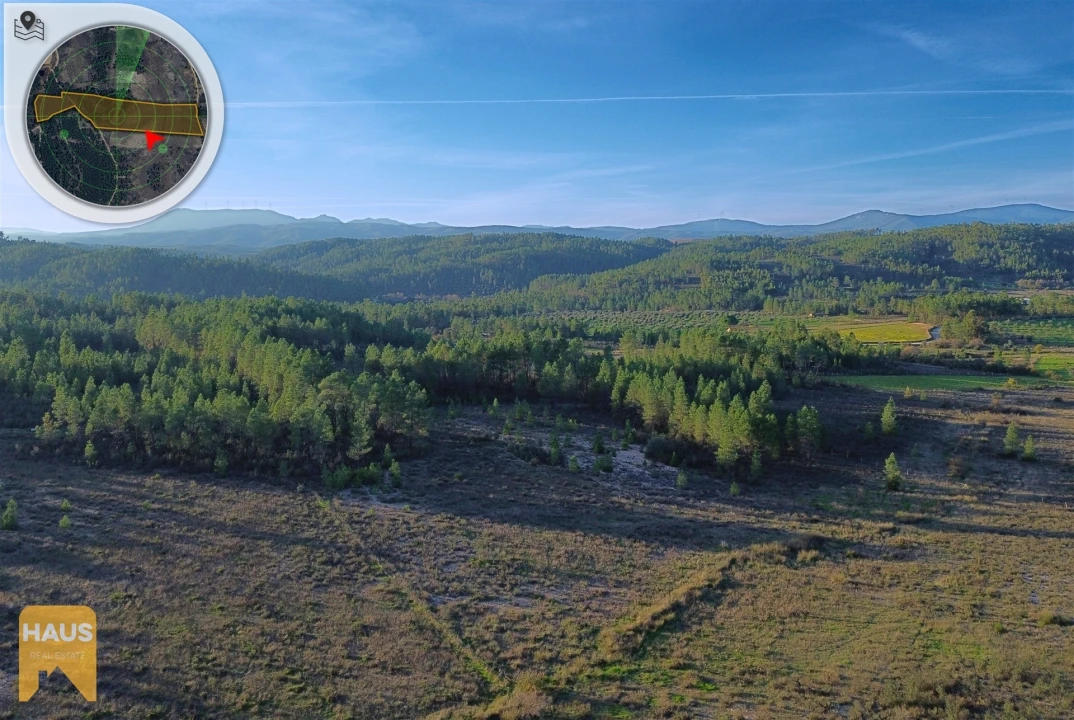 Terreno Agricola ou Rústico para Venda em Freixial e Juncal do Campo Foto 19