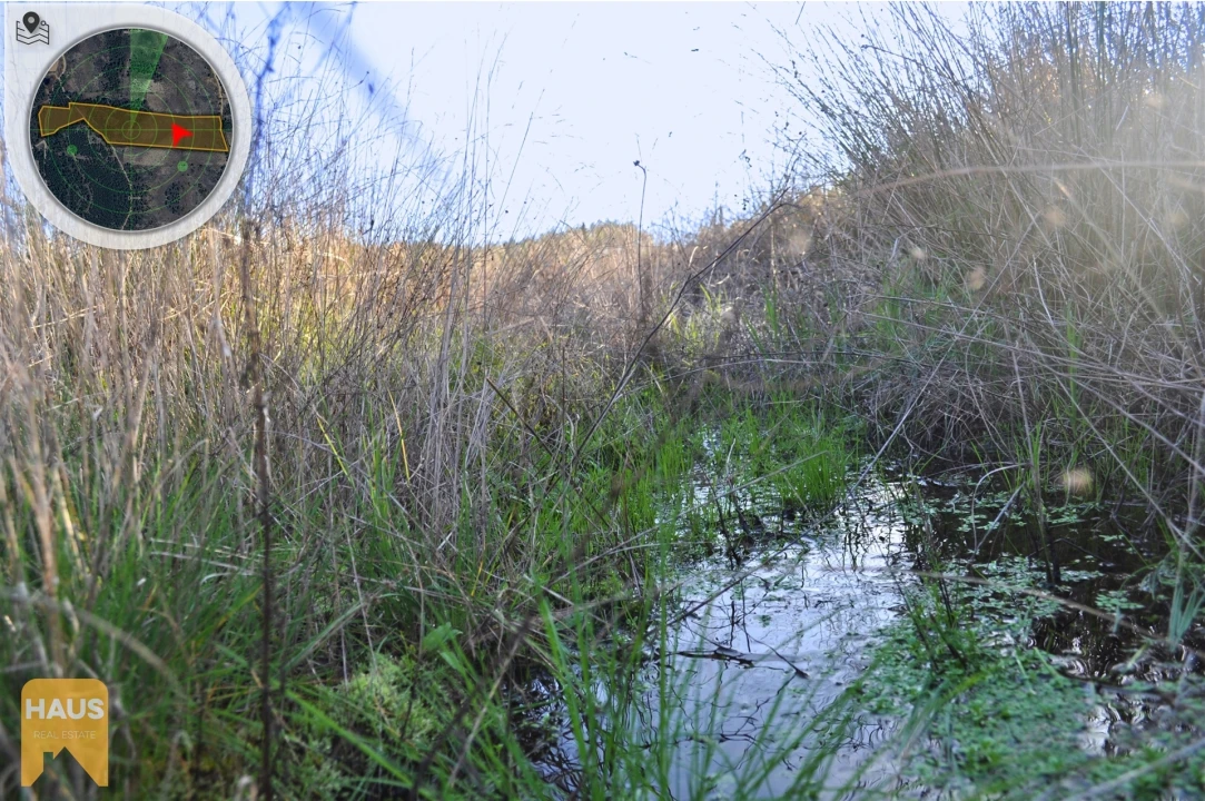 Terreno Agricola ou Rústico para Venda em Freixial e Juncal do Campo Foto 5