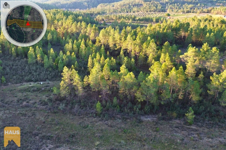 Terreno Agricola ou Rústico para Venda em Freixial e Juncal do Campo Foto 16