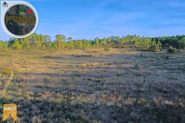 Terreno Agricola ou Rústico para Venda em Freixial e Juncal do Campo Foto 21