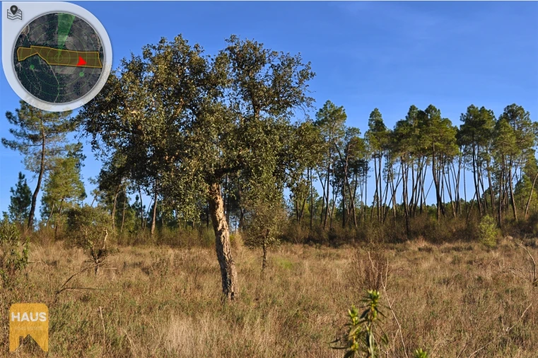Terreno Agricola ou Rústico para Venda em Freixial e Juncal do Campo Foto 11