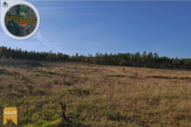 Terreno Agricola ou Rústico para Venda em Freixial e Juncal do Campo Foto 7