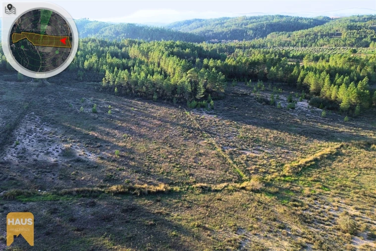 Terreno Agricola ou Rústico para Venda em Freixial e Juncal do Campo Foto 6