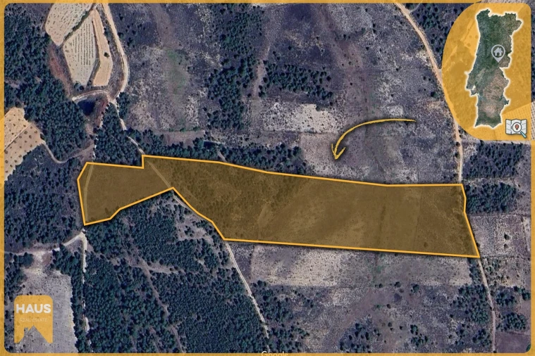 Terreno Agricola ou Rústico para Venda em Freixial e Juncal do Campo Foto 2