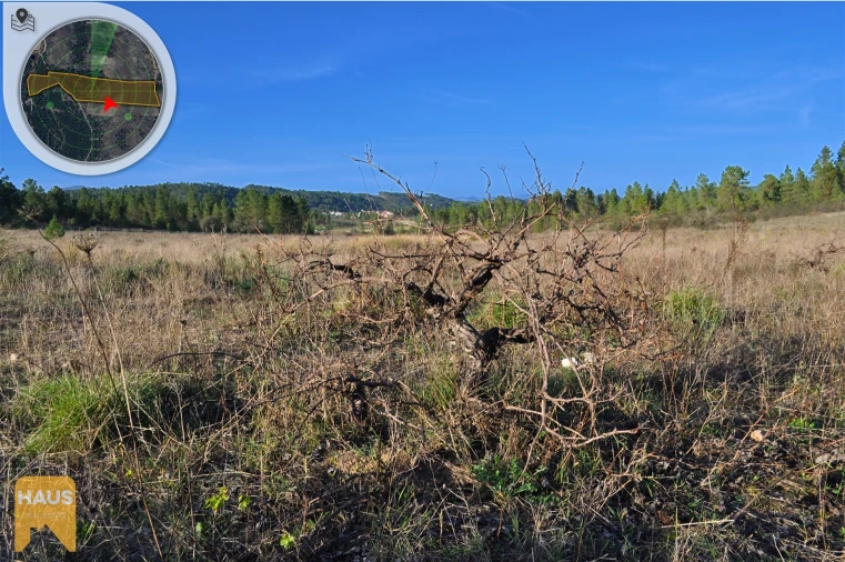 Terreno Agricola ou Rústico para Venda em Freixial e Juncal do Campo Foto 9