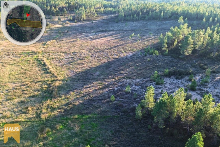 Terreno Agricola ou Rústico para Venda em Freixial e Juncal do Campo Foto 22