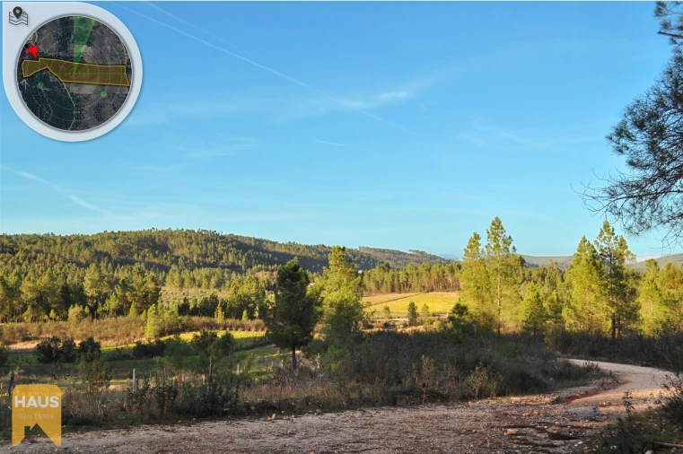 Terreno Agricola ou Rústico para Venda em Freixial e Juncal do Campo Foto 10