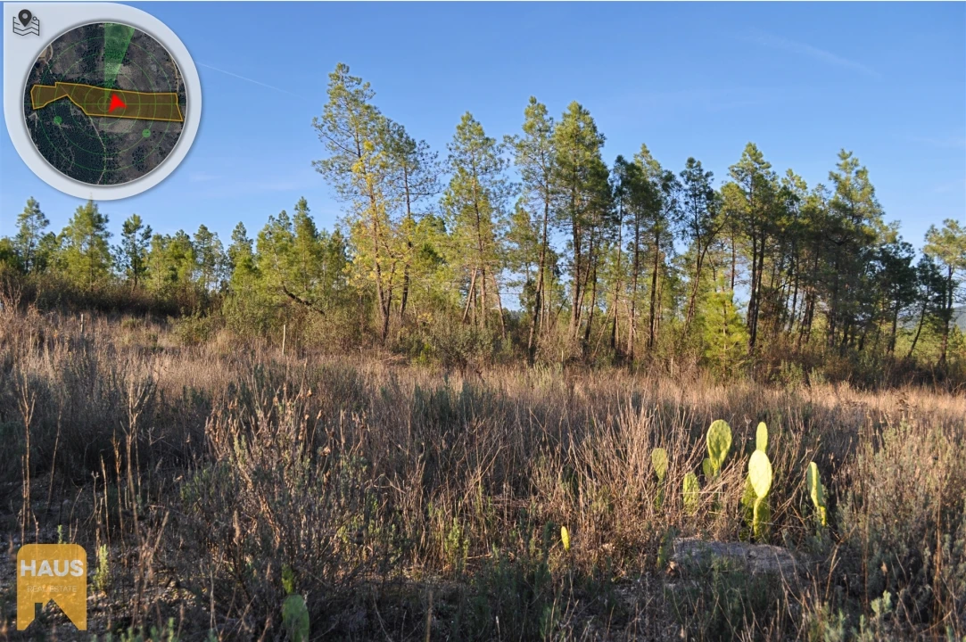 Terreno Agricola ou Rústico para Venda em Freixial e Juncal do Campo Foto 18