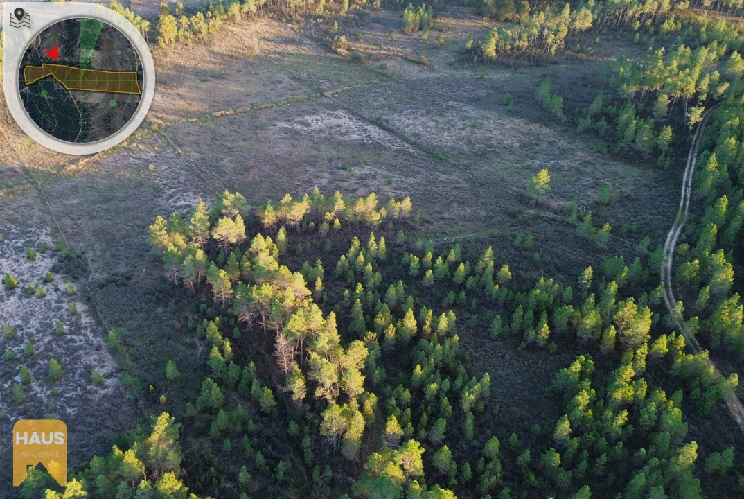 Terreno Agricola ou Rústico para Venda em Freixial e Juncal do Campo Foto 15