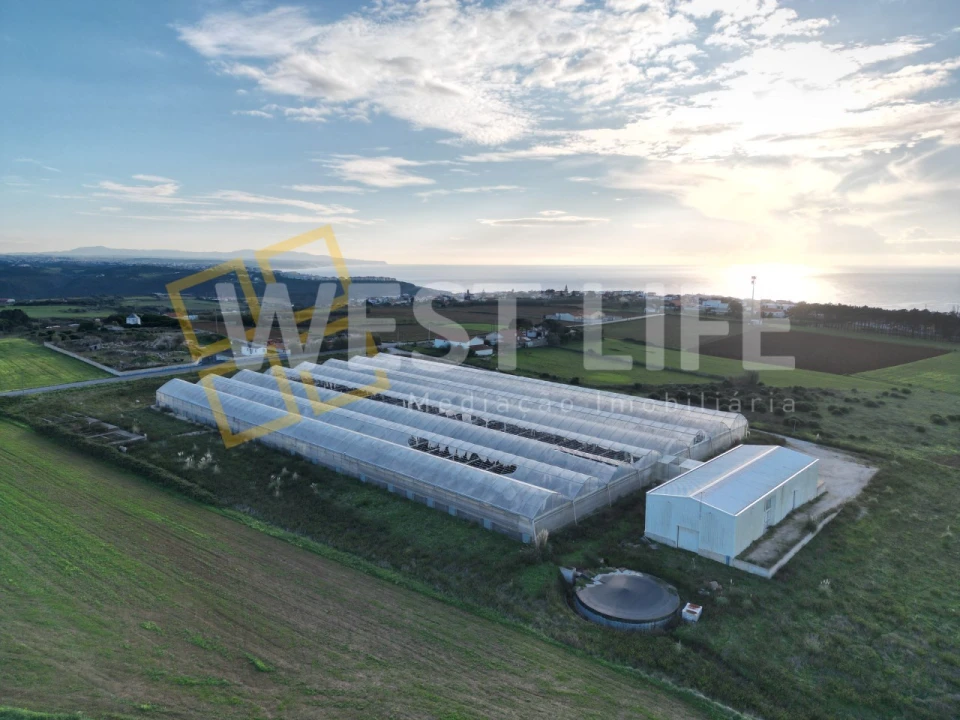 Terreno para Venda em Ericeira Foto 7