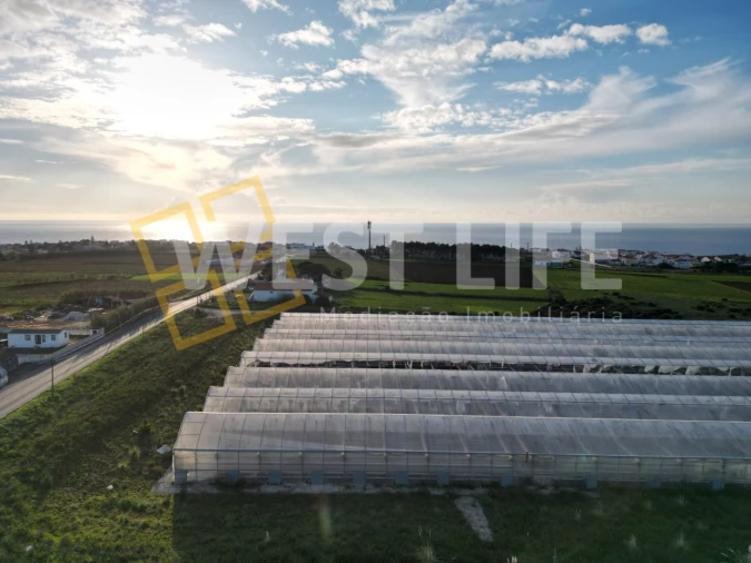 Terreno para Venda em Ericeira Foto 4