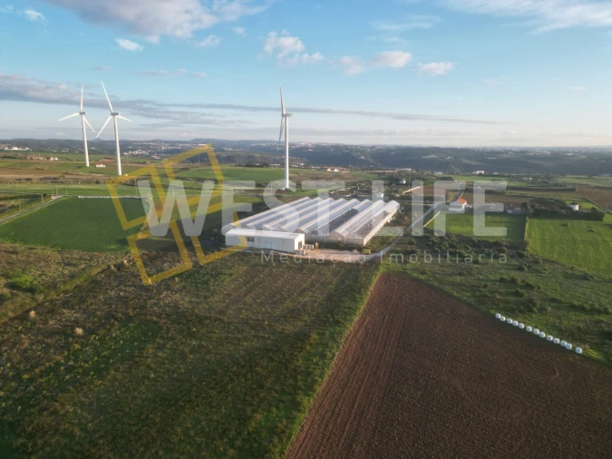 Terreno para Venda em Ericeira Foto 5