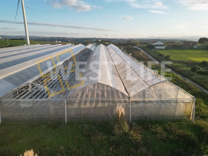 Terreno para Venda em Ericeira Foto 11