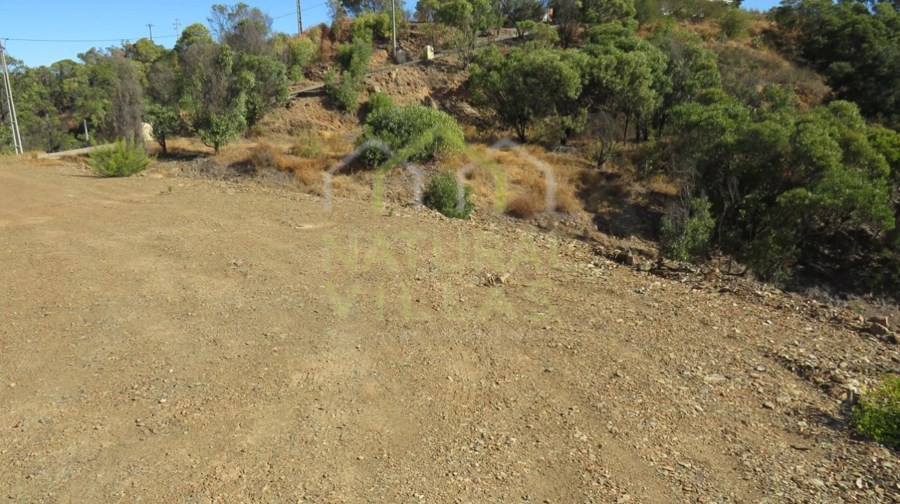 Terreno Agricola ou Rústico para Venda em Tavira (Santa Maria e Santiago) Foto 2