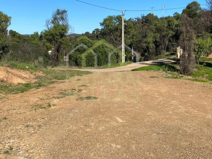 Terreno Agricola ou Rústico para Venda em Tavira (Santa Maria e Santiago) Foto 6