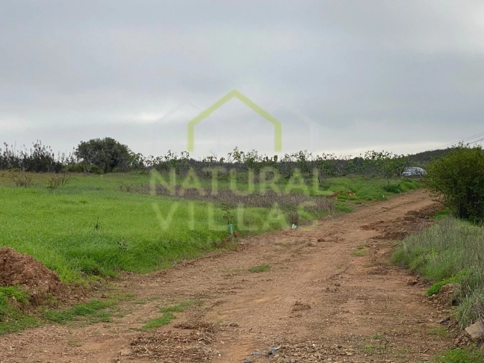 Terreno Agricola ou Rústico para Venda em Tavira (Santa Maria e Santiago) Foto 5