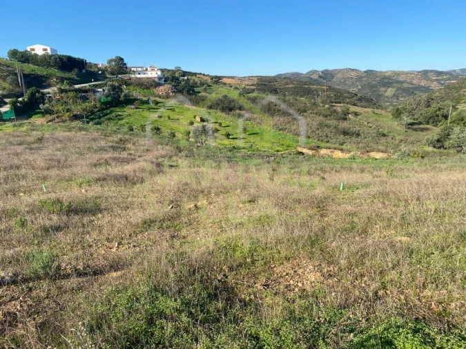 Terreno Agricola ou Rústico para Venda em Tavira (Santa Maria e Santiago) Foto 2