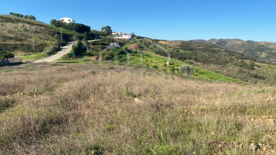 Terreno Agricola ou Rústico para Venda em Tavira (Santa Maria e Santiago) Foto 3