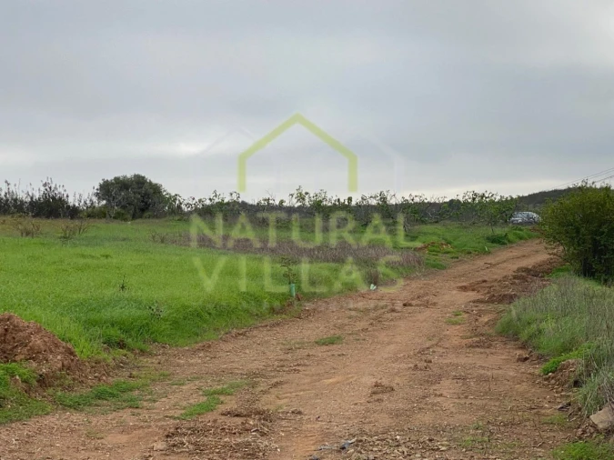 Terreno Agricola ou Rústico para Venda em Tavira (Santa Maria e Santiago) Foto 5
