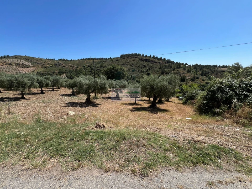 Quinta para Venda em Agrobom, Saldonha e Vale Pereiro Foto 4