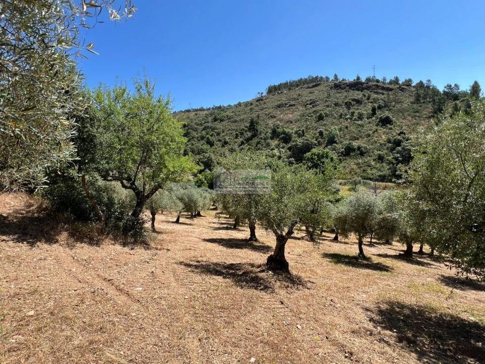 Quinta para Venda em Agrobom, Saldonha e Vale Pereiro Foto 10
