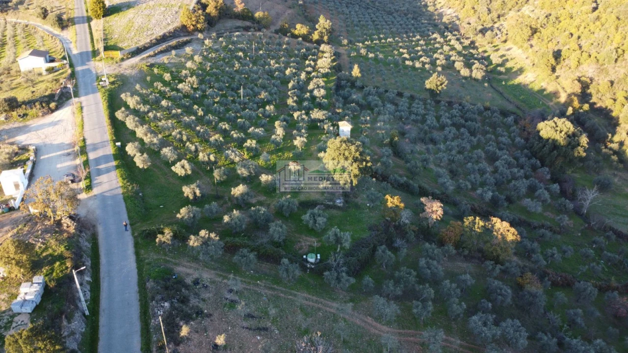 Quinta para Venda em Agrobom, Saldonha e Vale Pereiro Foto 2