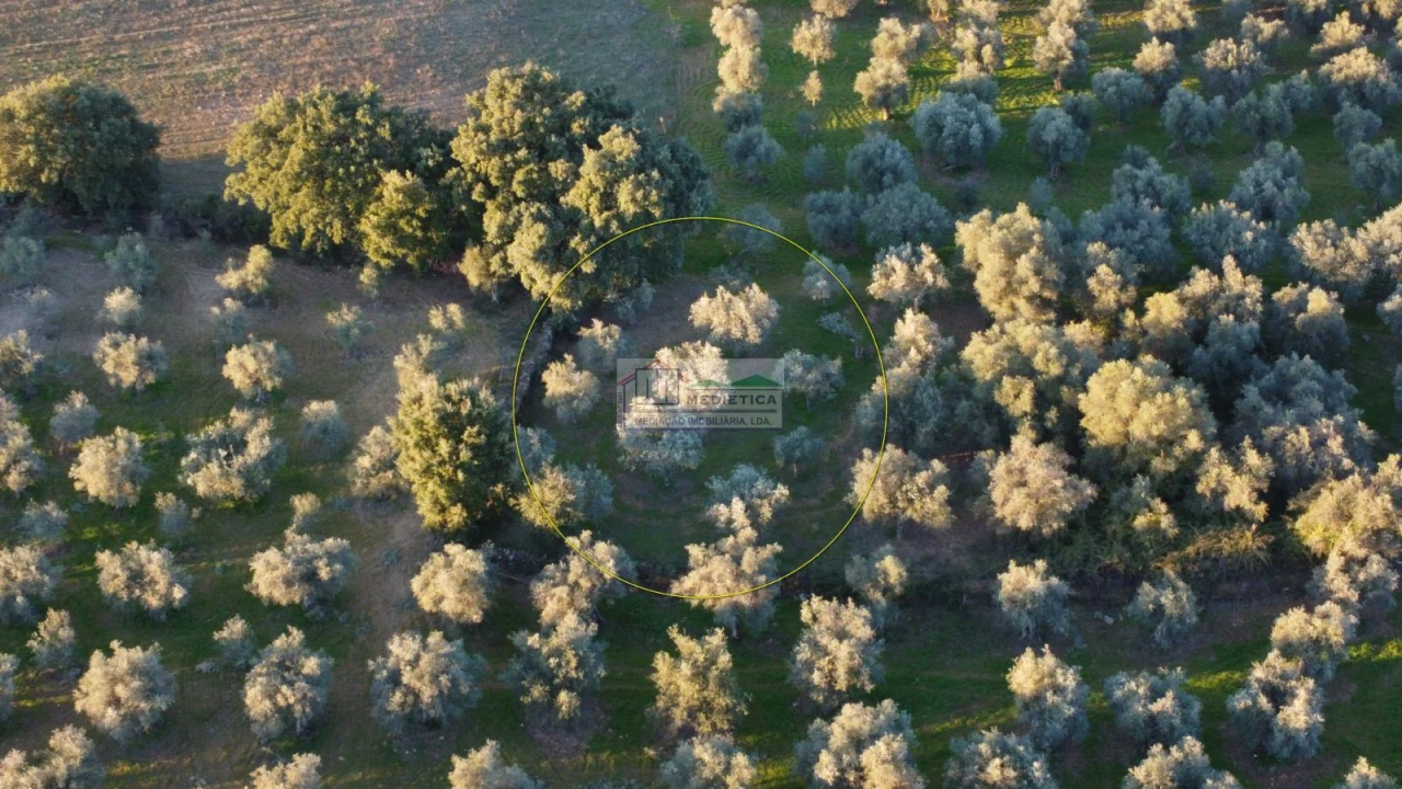 Quinta para Venda em Agrobom, Saldonha e Vale Pereiro Foto 15