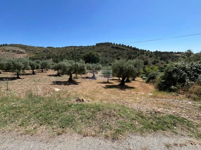 Quinta para Venda em Agrobom, Saldonha e Vale Pereiro Foto 4